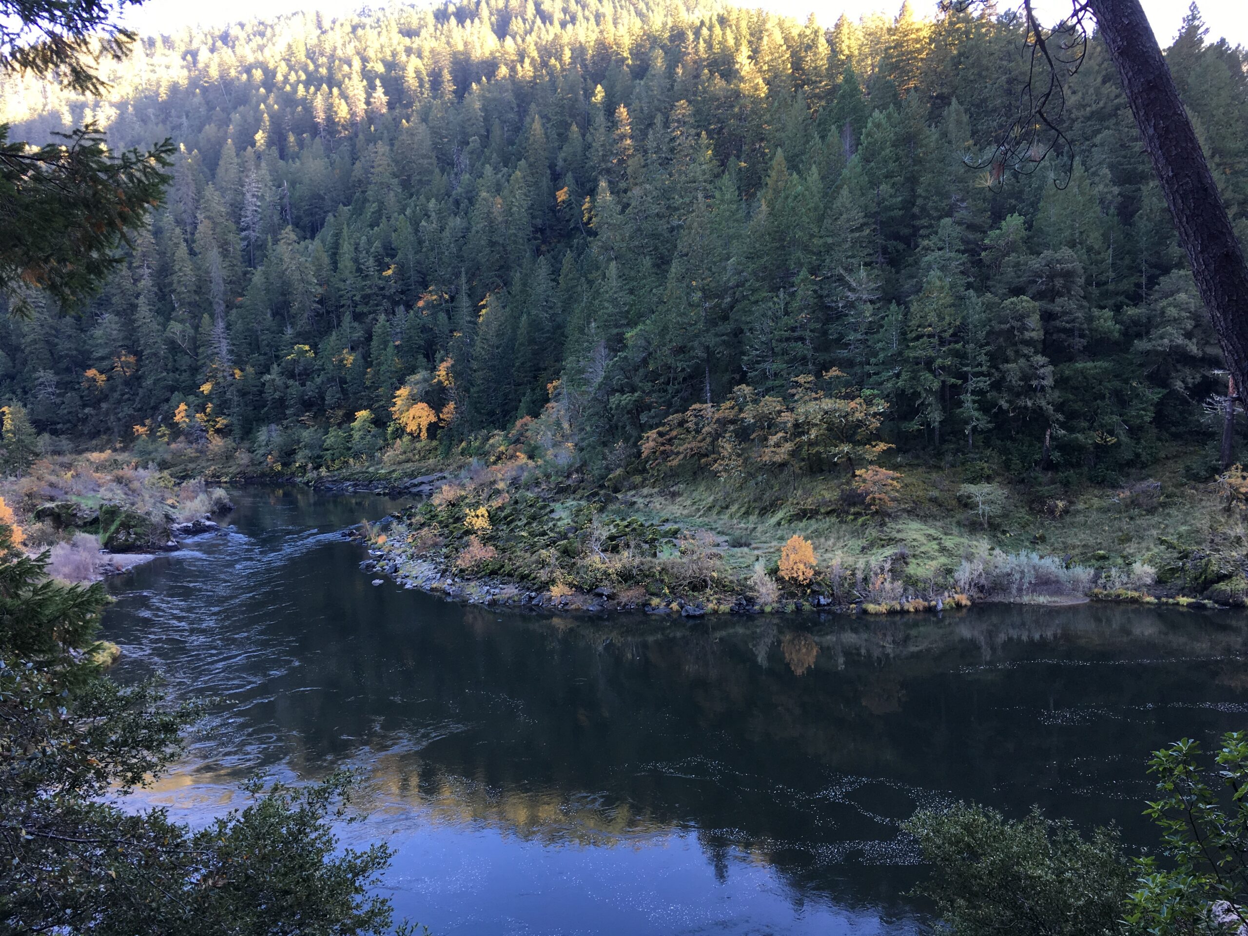 Oregon Wild and Scenic Effort Heating Up | Wild Steelheaders United