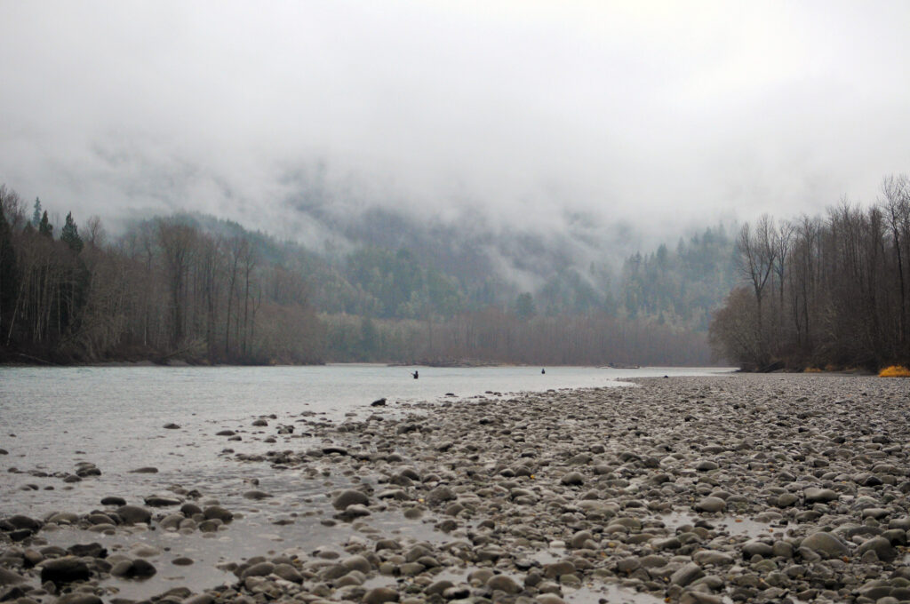 winter steelheading Skagit River