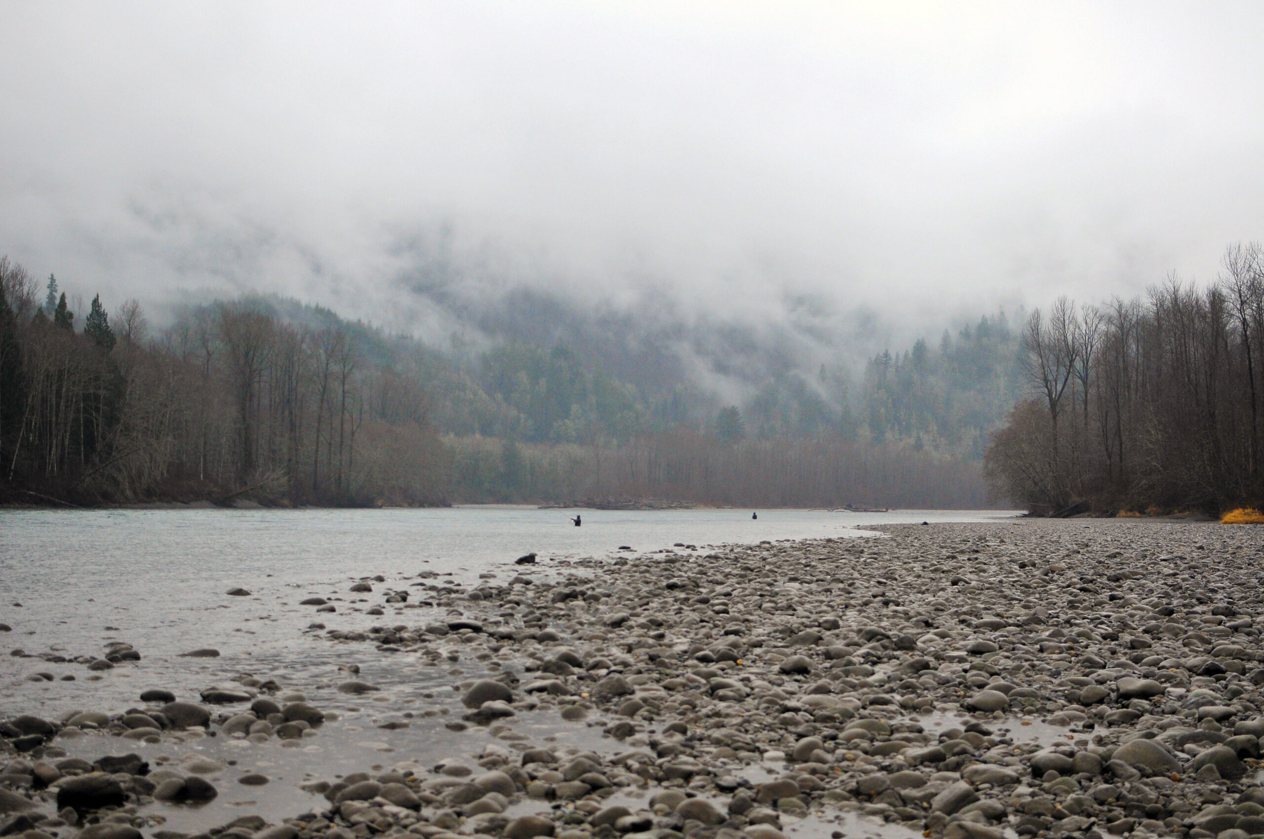 Lee Geist: Strobe Probing For Steelhead – Wild Steelheaders United