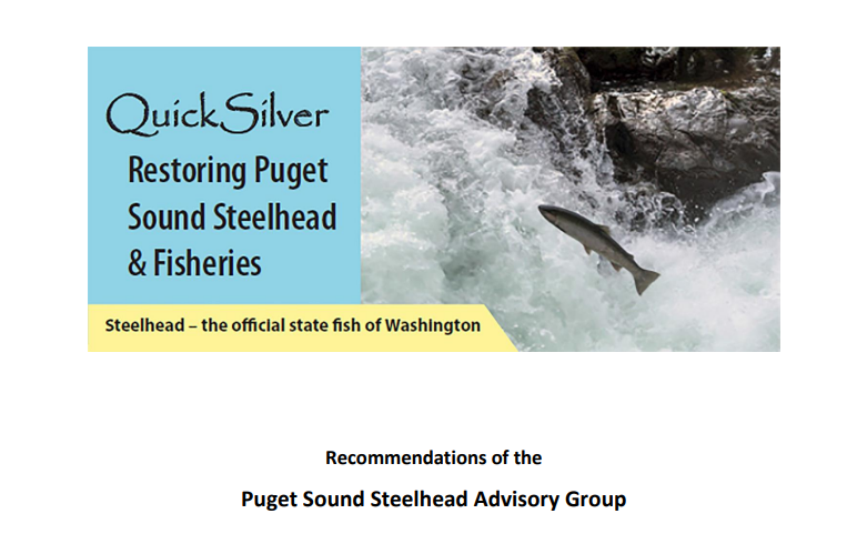 Quicksilver Portfolio - Puget Sound Steelhead Advisory Group