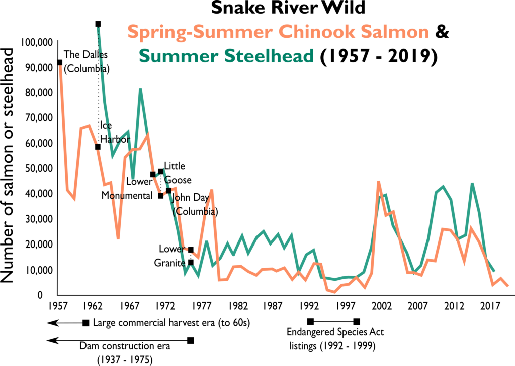 Another Blow for Columbia River Wild Steelhead – Wild Steelheaders United