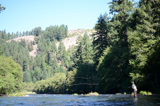 Umpqua River Fly Fishing Guide