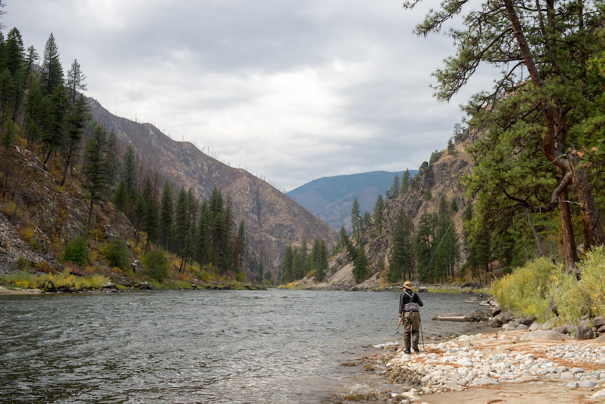 can-kicking-lower-snake-river-dams-record-of-decision-released-wild