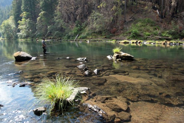 How fly-fishing for steelhead trout was healing for my stepdaughter