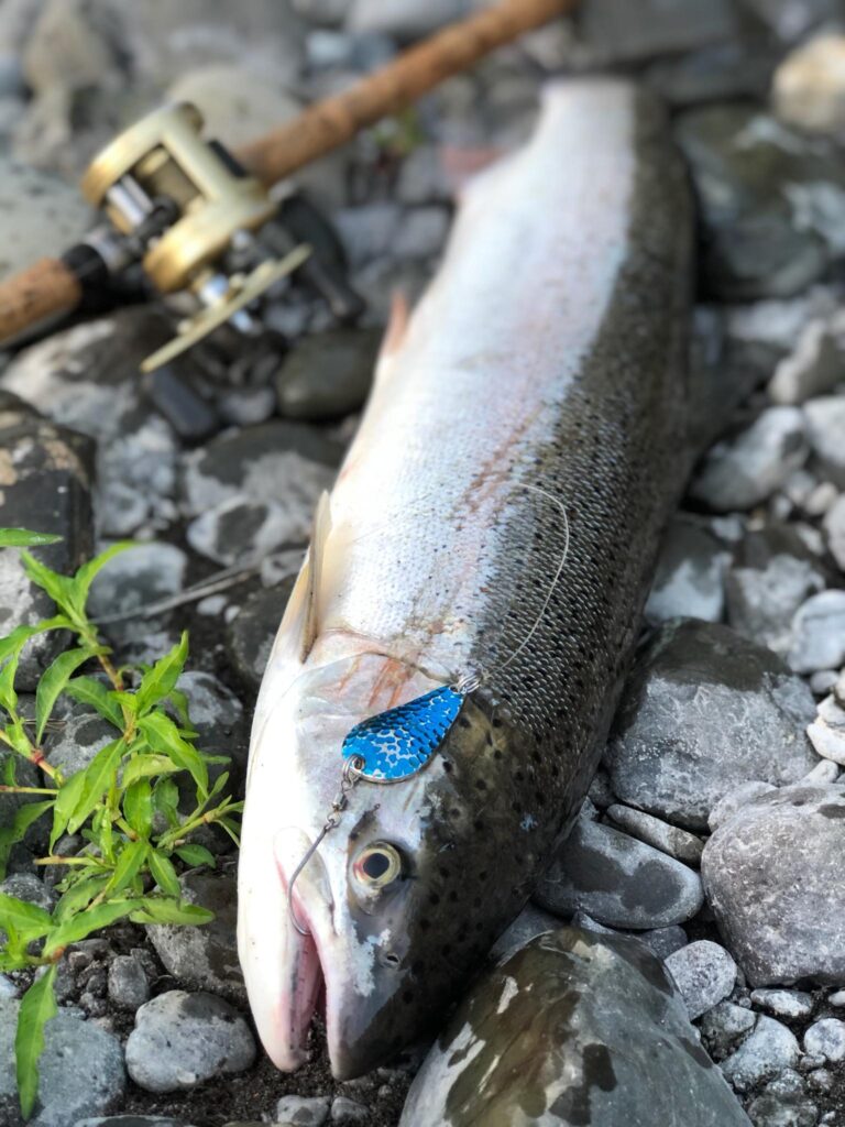 Stee-Lee: The Tributary Boss – Wild Steelheaders United