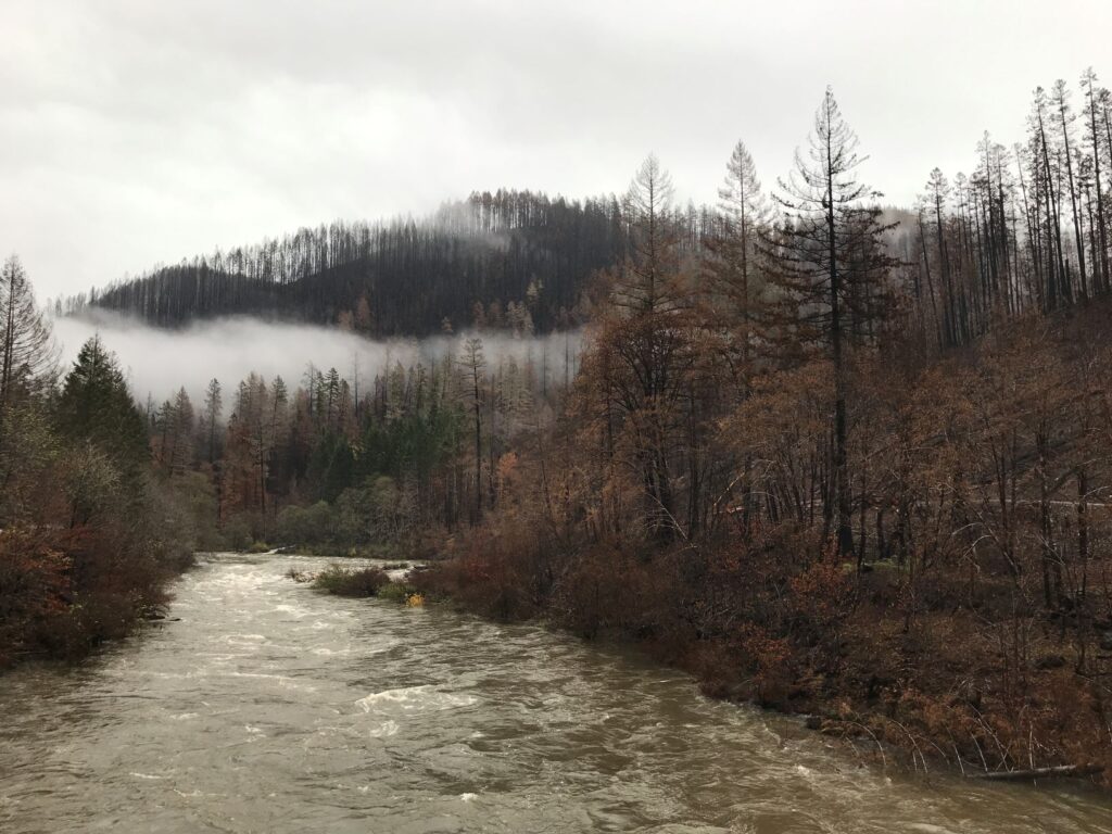 North Umpqua River forest fire steelhead