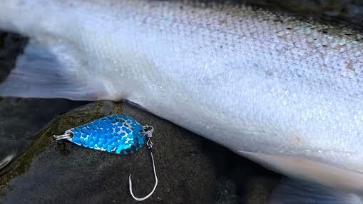 Salmon Spinner Bait Rig Klamath Rig 