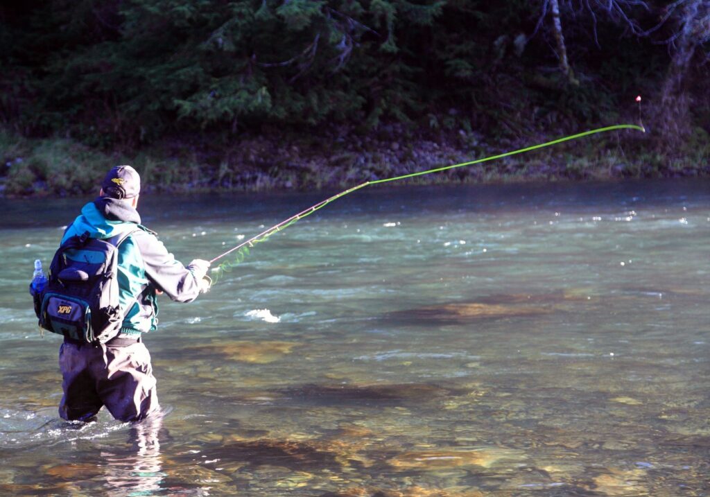 Voices from the River: Welcome to Winter Steelhead Fishing – Wild  Steelheaders United