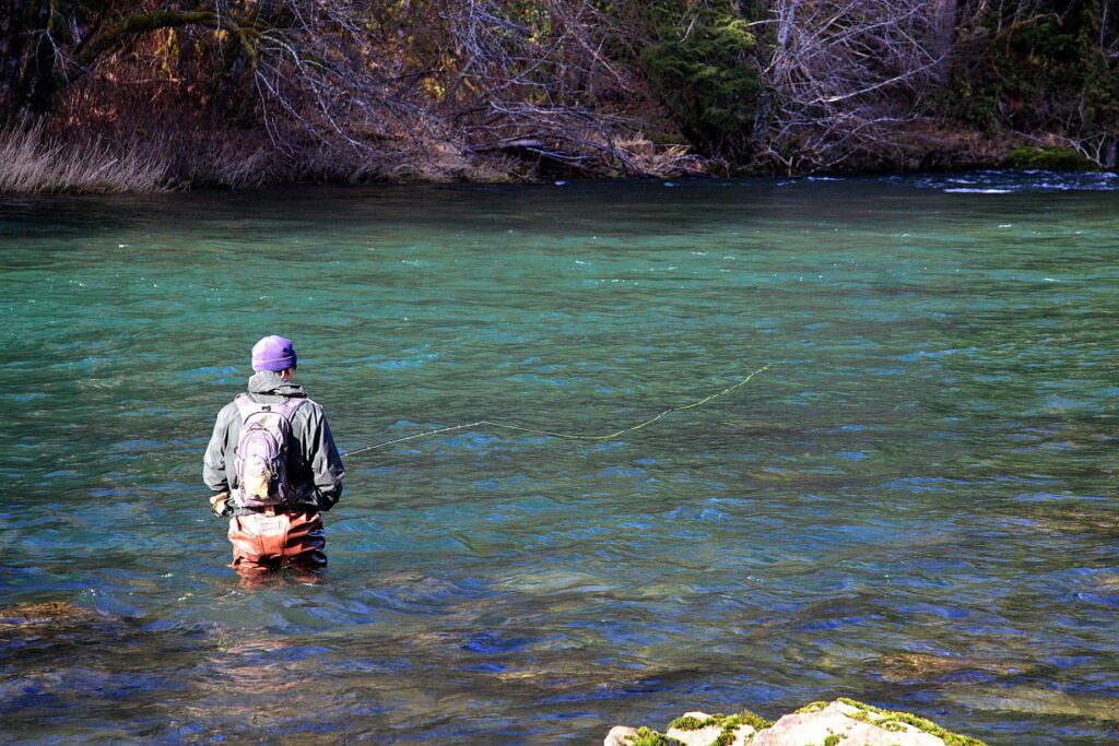 Hoh River study: Does fishing from a boat affect wild steelhead catch?, by  The Washington Department of Fish and Wildlife