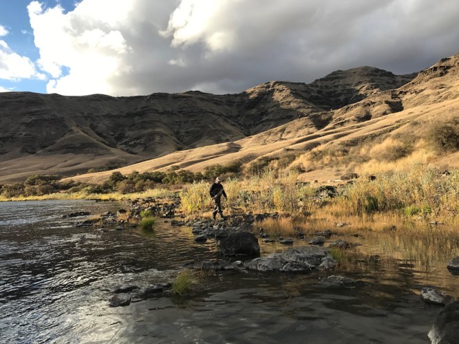 PNW Rattle Snakes  IFish Fishing Forum