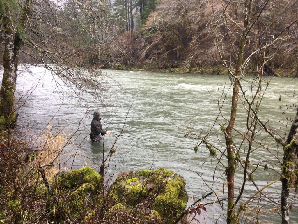 Umpqua Basecamp - Oregon Fly Fishing