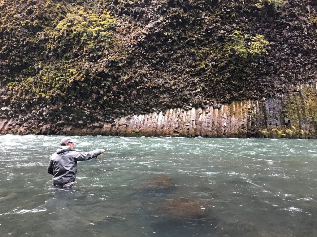 Voices from the River: Welcome to Winter Steelhead Fishing – Wild