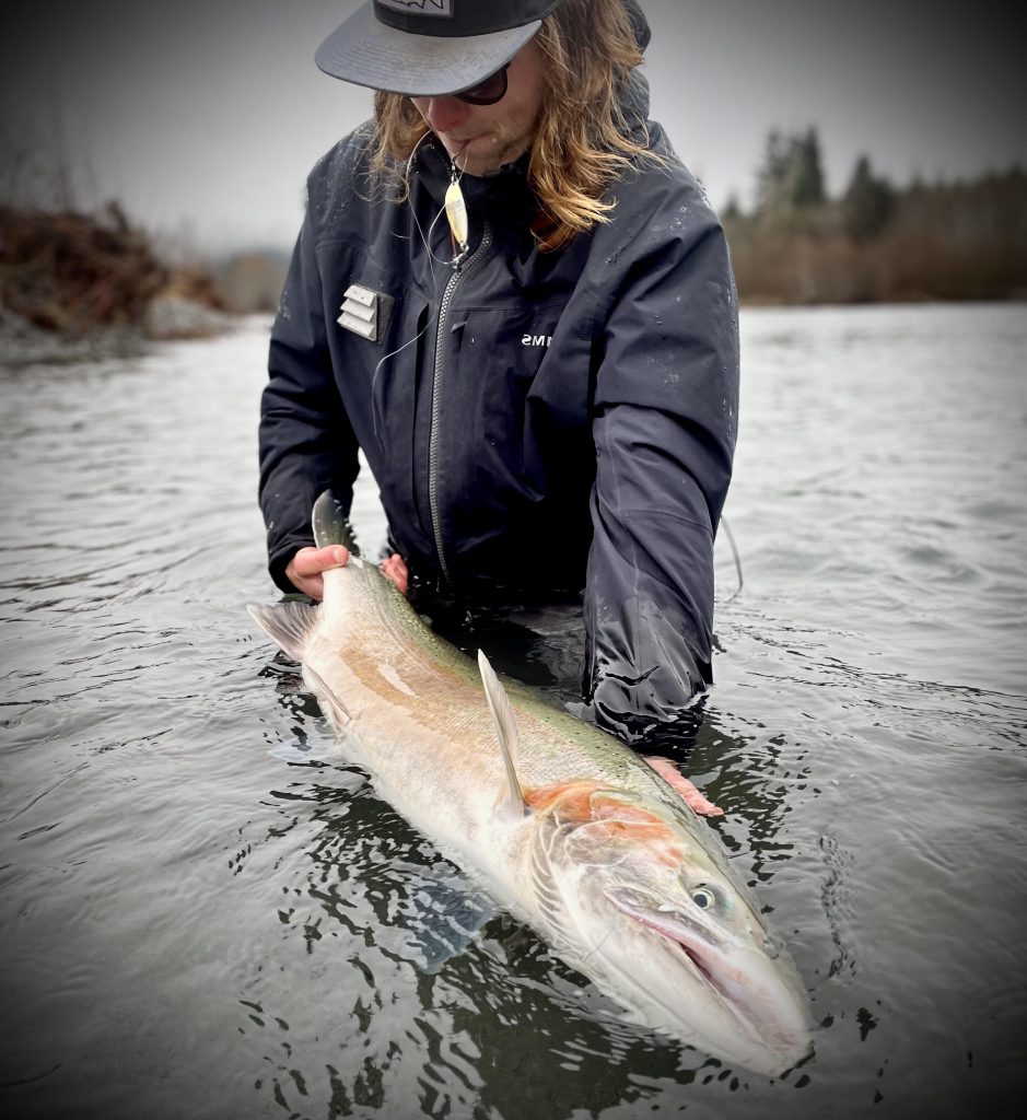 Lee Geist: Strobe Probing For Steelhead – Wild Steelheaders United