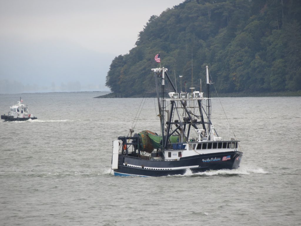 gillnetting NOAA