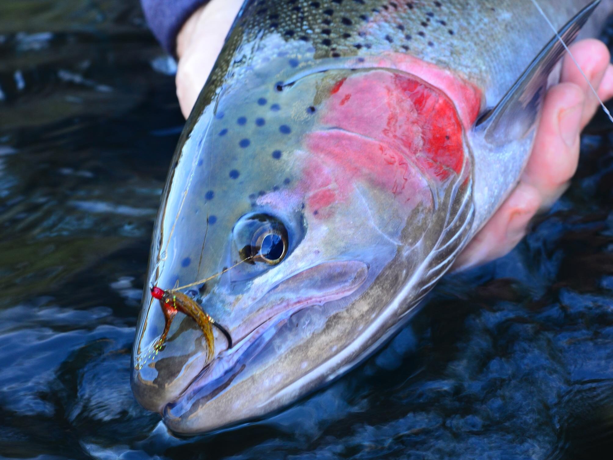 5 tips for fishing in hot water  Oregon Department of Fish & Wildlife