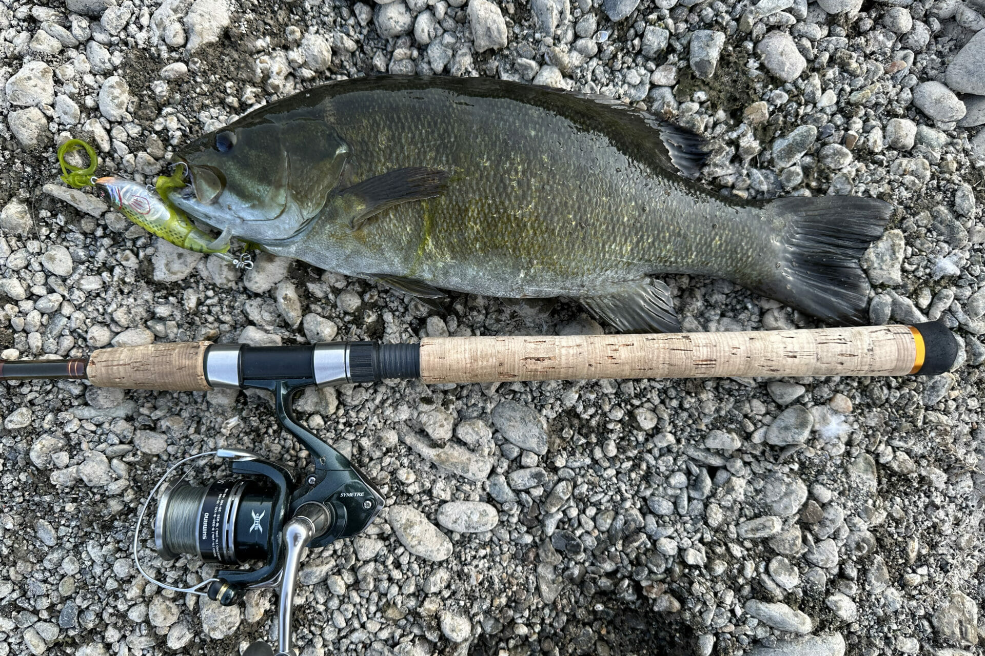 Umpqua Bass Popper Green Splatter